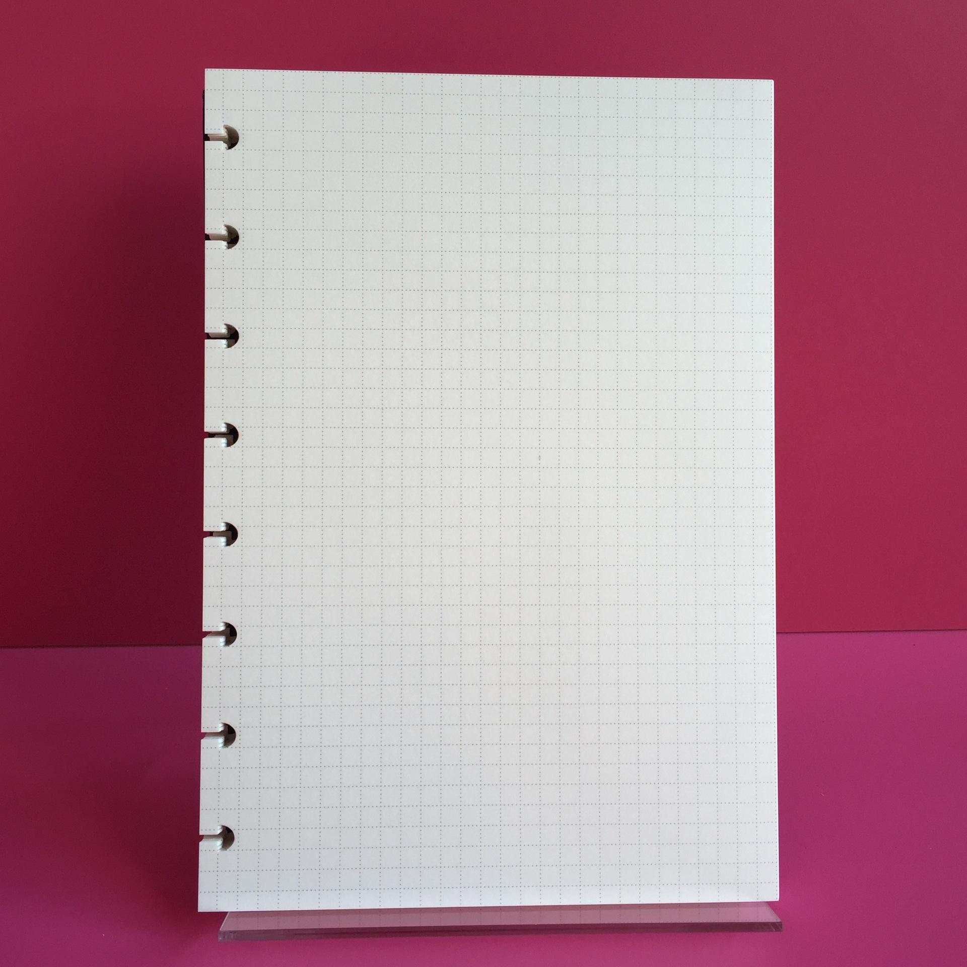 A5 Inner Page Blank/Horizontal - Notebook Dotted A5 recensione e prezzo
