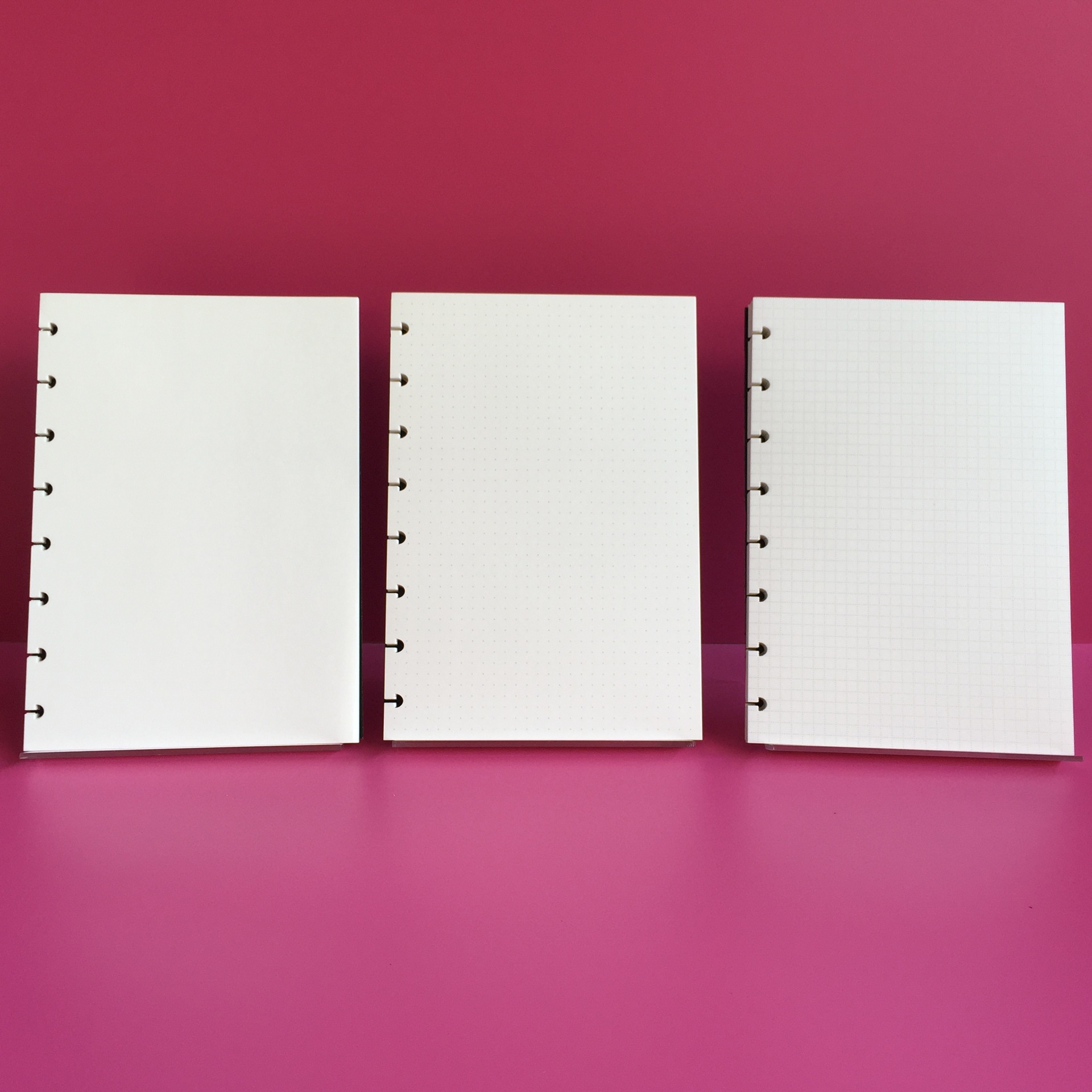 A5 Inner Page Blank/Horizontal - Notebook Dotted A5 recensione e prezzo