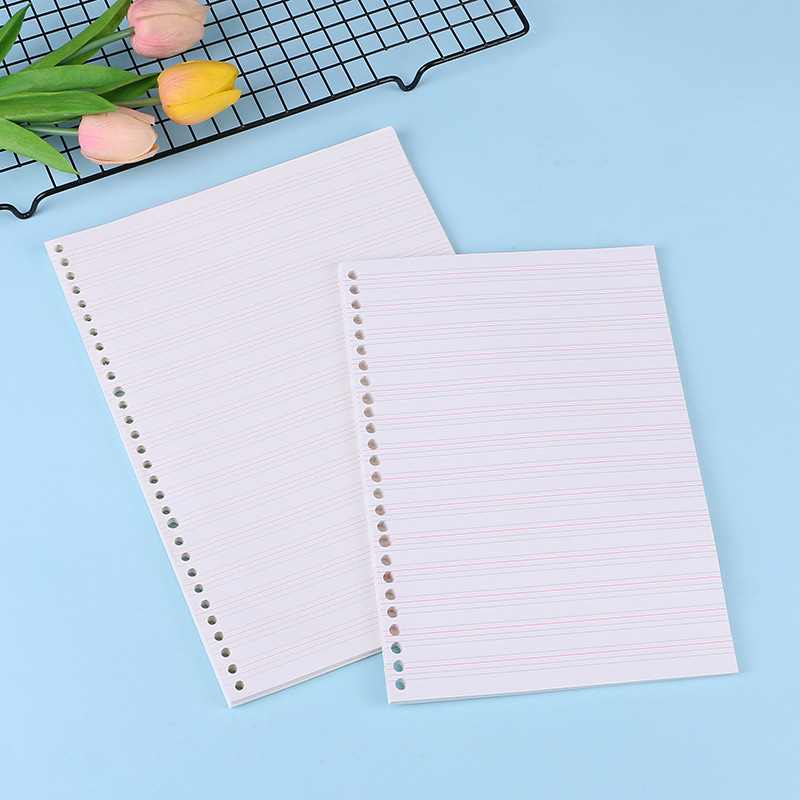 A4 A5 B5 Notebook Journal Medi - Notebook Dotted A5 recensione e prezzo
